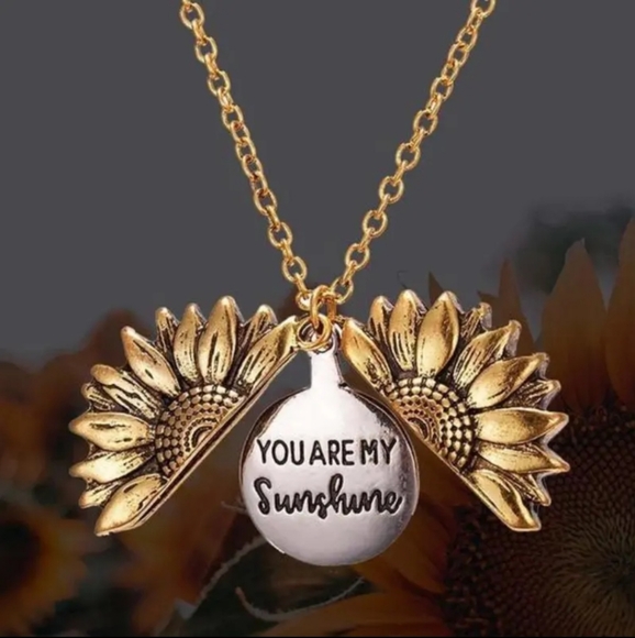 Jewelry - You are my sunshine locket necklace